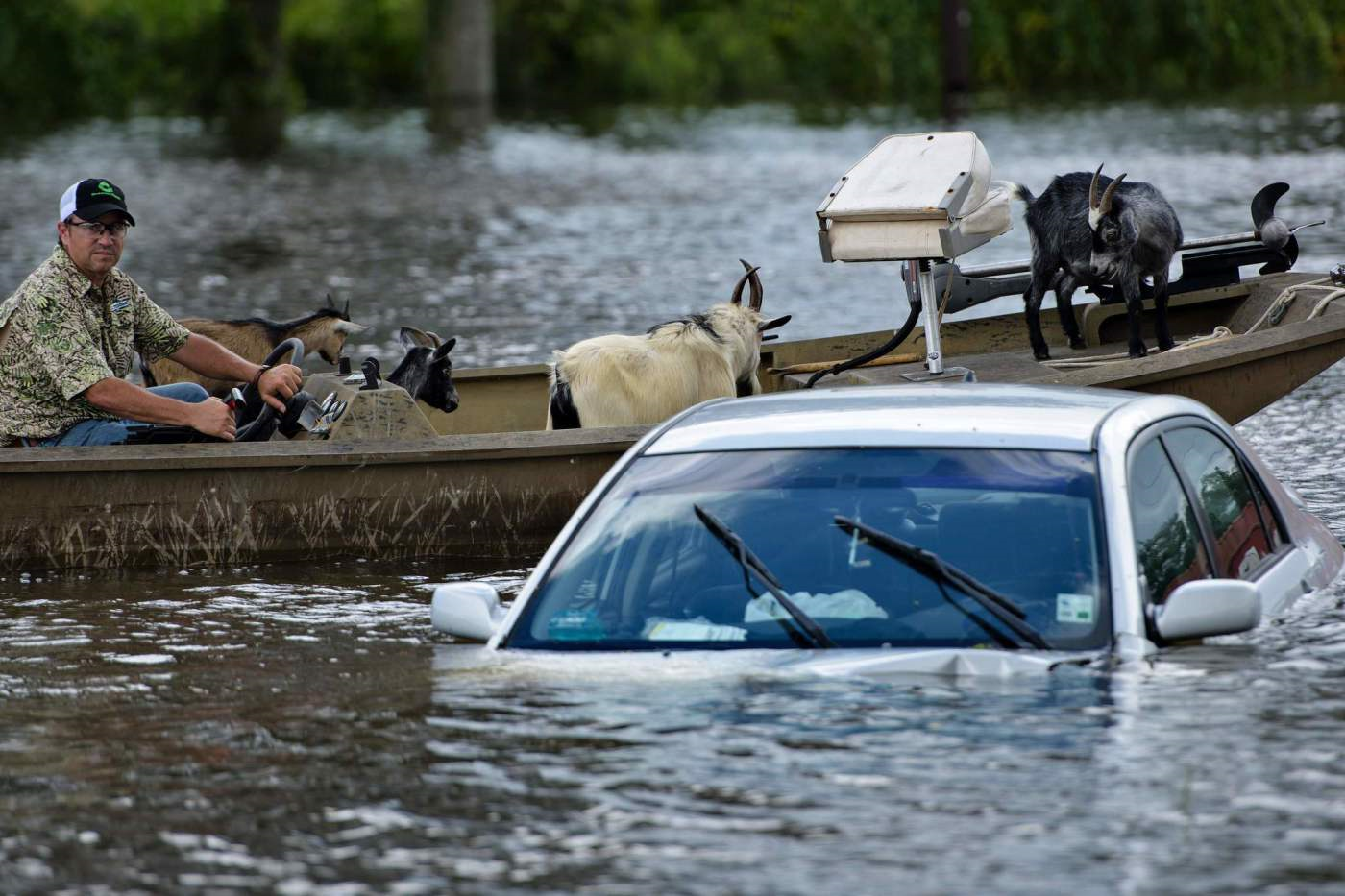 Historic Louisiana flood affects thousands – UMass Dartmouth’s Student ...